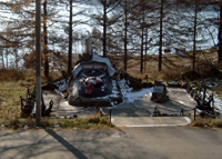 памятник экипажу С-117, 147кб